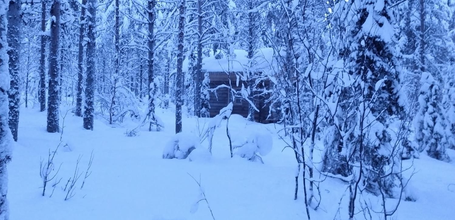 Log cabin in a winter forest in Sarvisvaara