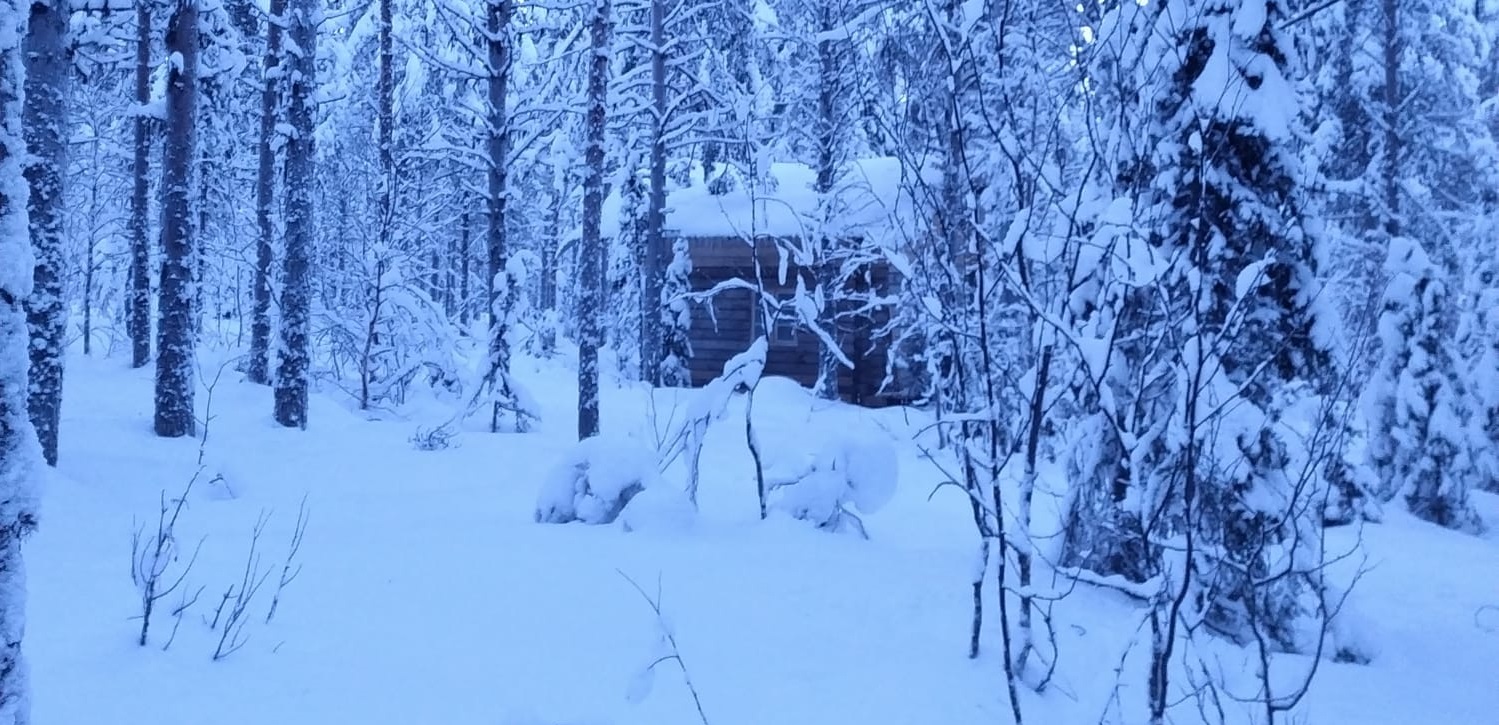 Casa in tronchi nel bosco invernale di Sarvisvaara