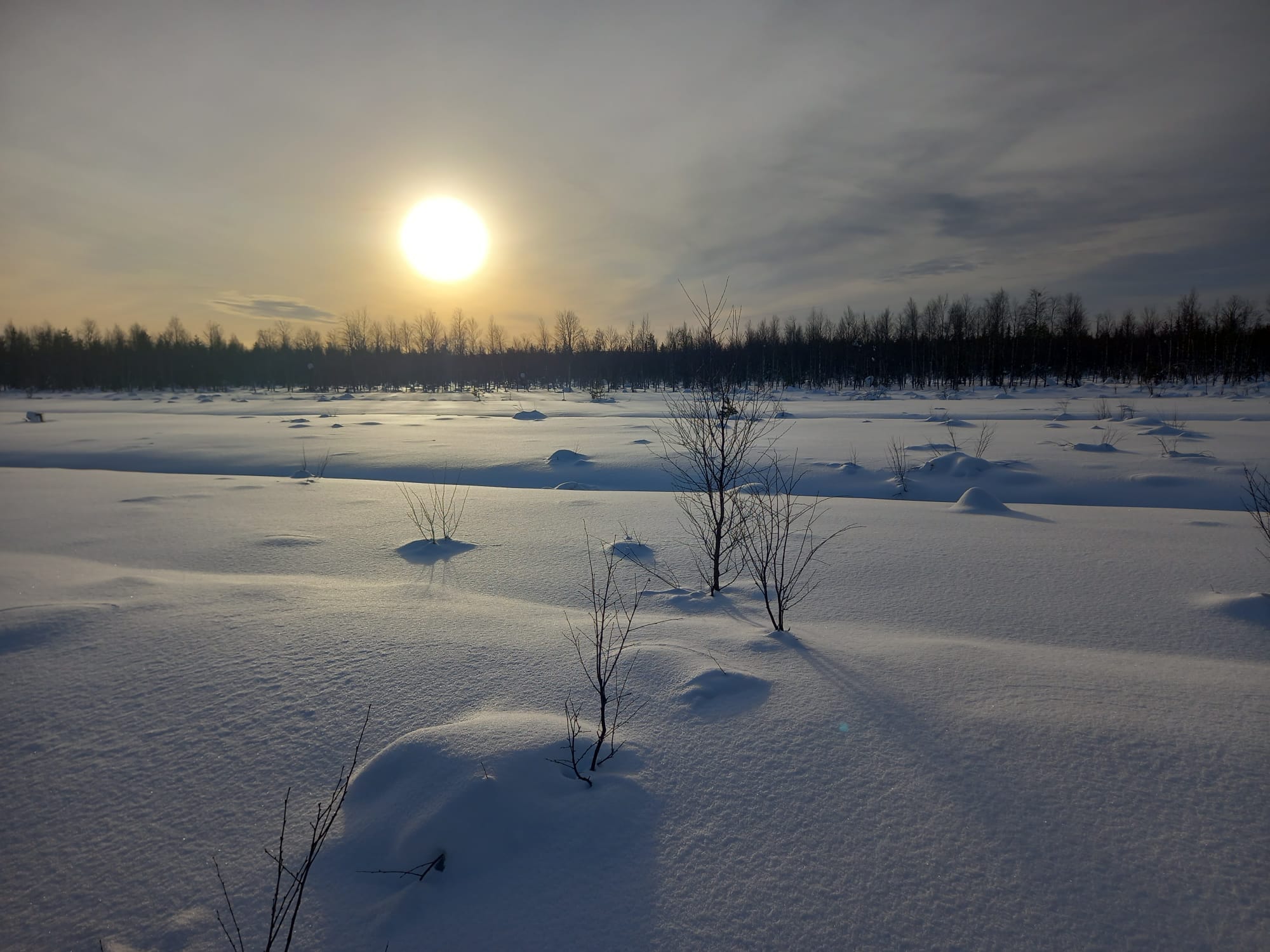 Sole invernale su un paesaggio innevato nel nord della Svezia